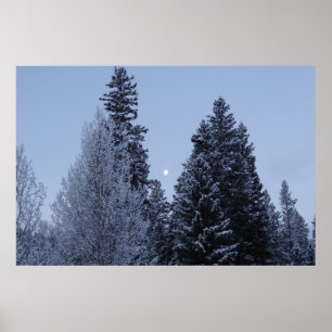 Winter Träd vid Dawn Montana Ligcape Poster
