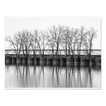 Winter Träd vid Vatten, B&W-fotoutskrift