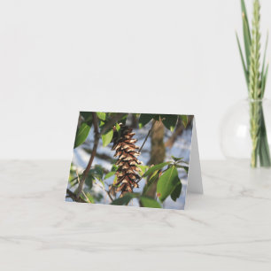 Winter Trail Gräs Cone Note Card Tack Kort