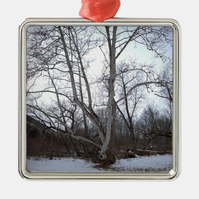 Winter Tree in Snow Ornament (Framsidan)