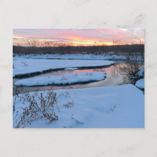 Winter Twilight på Wildlife Refuge Vykort