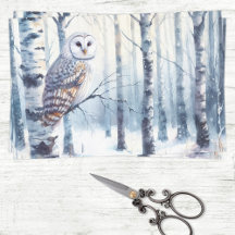 Winter Uggla Birch Träd Forest Decoupage