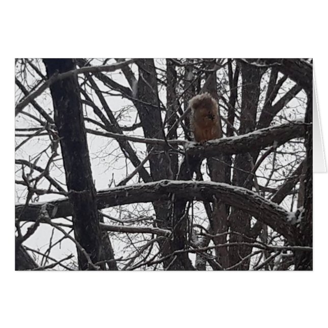 Winter-välsignande Julhelger WlackCard Hälsningskort (Framsidan Horizontal)