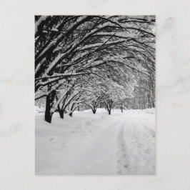 WINTER  VYKORT