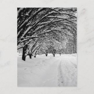 WINTER VYKORT