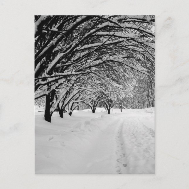 WINTER  VYKORT (Framsida)
