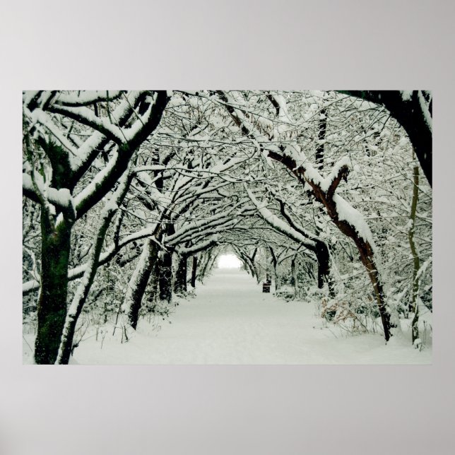 Winter Walk Poster (Framsidan)