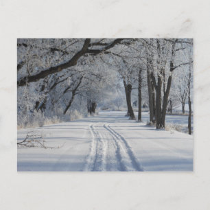 Winter Walking Trail Vykort
