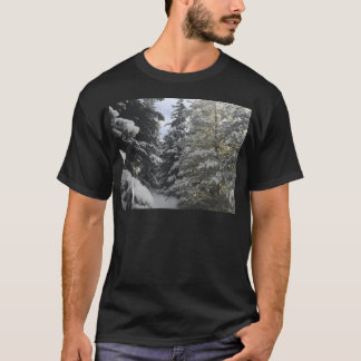 Winter Walks T Shirt