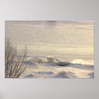 Winter Waterscape Photo Poster