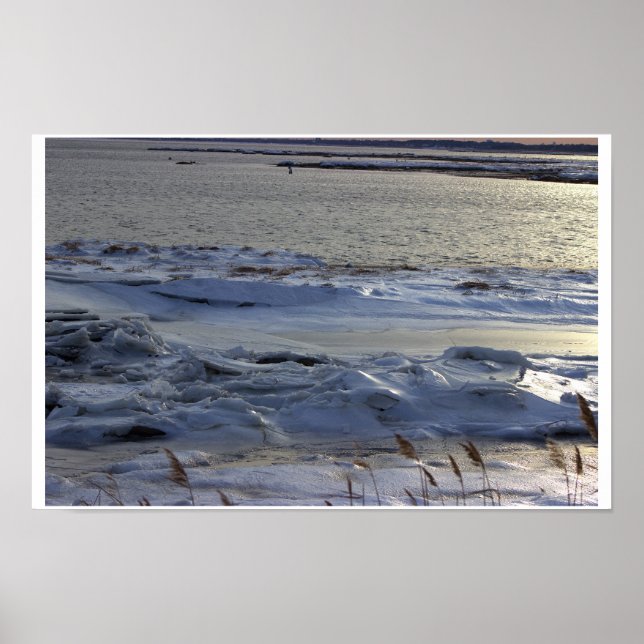 Winter Waterscape Photo Poster (Framsidan)