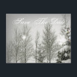 Winter Wedding för Romantic Forest träd sparar dat Meddelande Vykort<br><div class="desc">Romantisk Forest Julgranar Vinterbröllopsinbjudning,  julbröllopsinbjudningar,  vinterbröllop förutom vykort,  vinterbröllopsfavoriter.</div>