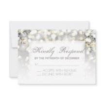 Winter Wedding Silver och Guld Gnistra