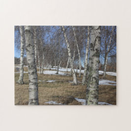 Winter White Birches Puzzle Pussel