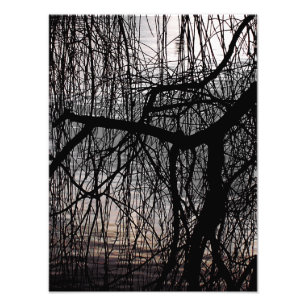 WINTER WILLOW TRÄD FOTOTRYCK
