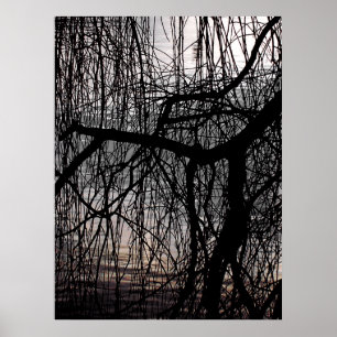 WINTER WILLOW TRÄD POSTER