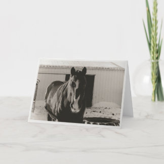 Winter Willy Helgkort