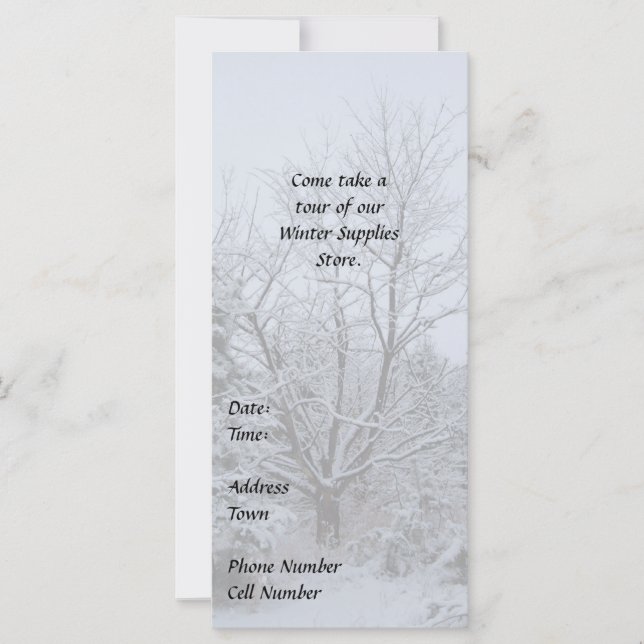 Winter Wonderland (Framsida)