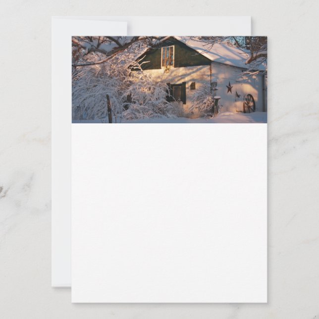 Winter Wonderland (Framsida)