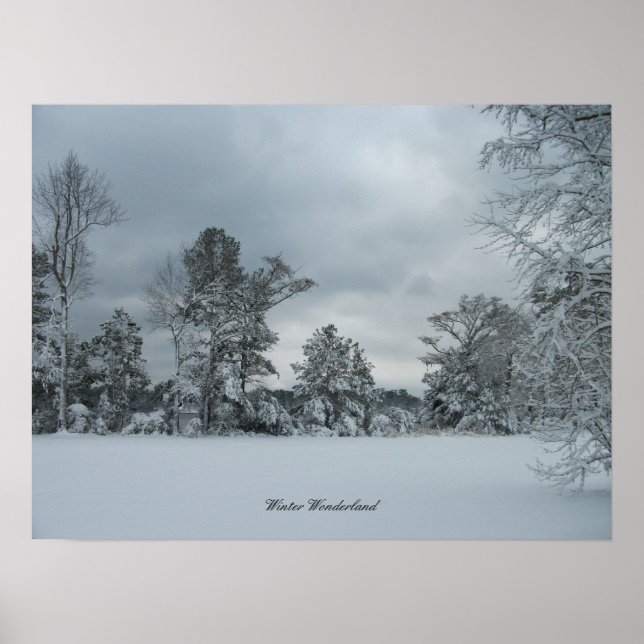 Winter Wonderland 1 Poster (Framsidan)