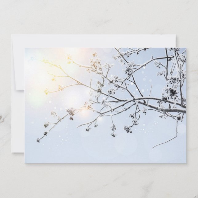 Winter Wonderland by Uname_ (Framsida)