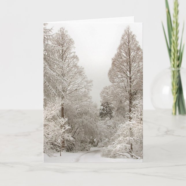 Winter Wonderland Cards Säsonhälsningars Cards Helgkort (Framsida)
