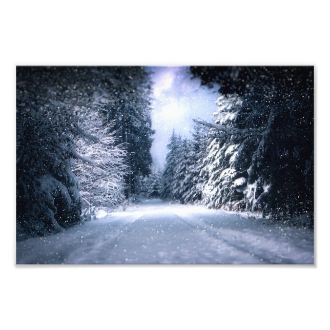 Winter Wonderland Forest Snowfall Fototryck (Framsidan)