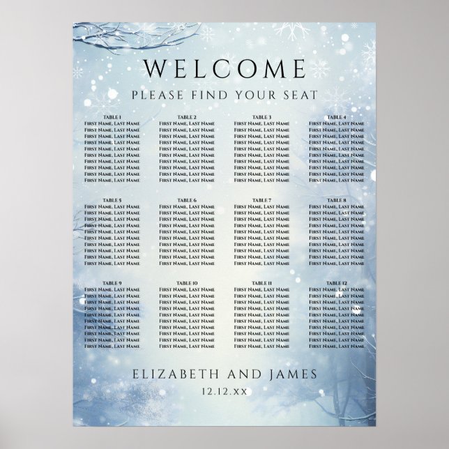 Winter Wonderland Forest Wedding Seating Chart Poster (Framsidan)