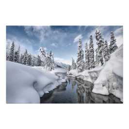 Winter Wonderland Fototryck