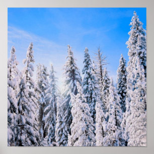 Winter Wonderland Gräs Träd i Snö Poster