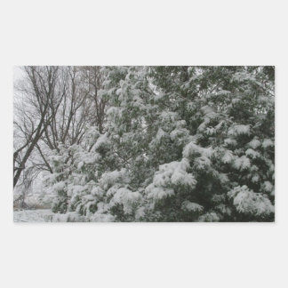Winter Wonderland Gräs Träd med Snö Fall Rektangulärt Klistermärke