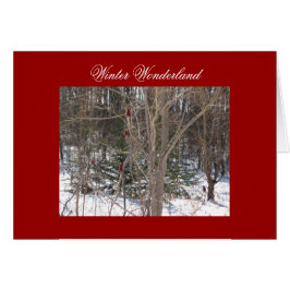 Winter Wonderland Hälsningskort