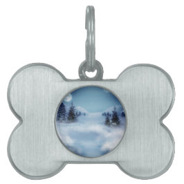 Winter Wonderland i natt ID-bricka Husdjur