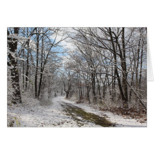 Winter wonderland-kort hälsningskort