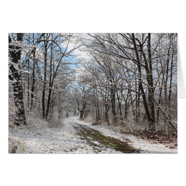 Winter wonderland-kort hälsningskort (Framsidan Horizontal)