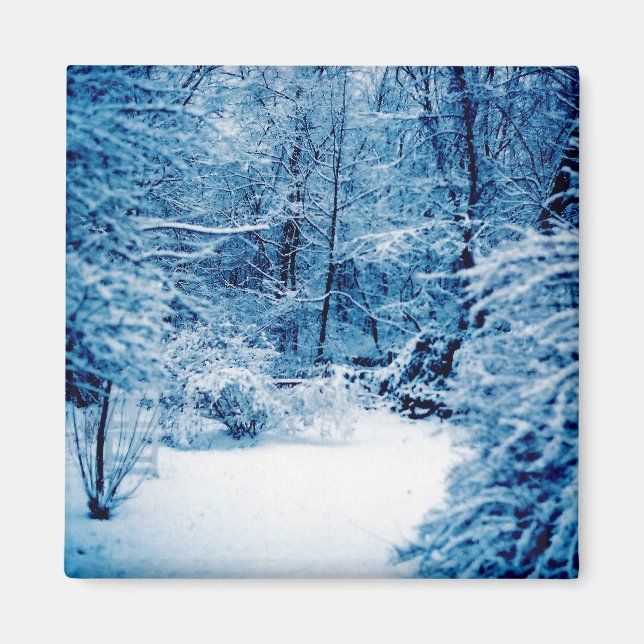 Winter Wonderland Magnet (Framsidan)