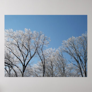 Winter Wonderland med Iced Träd Poster