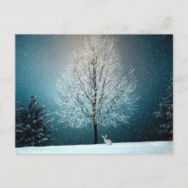 Winter Wonderland med kanin Vykort