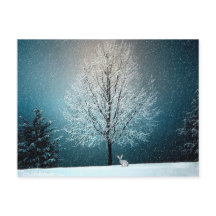 Winter Wonderland med kanin