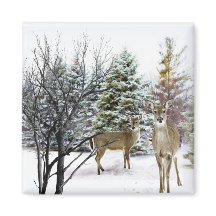 Winter Wonderland med Whitetail Hjort Fridge
