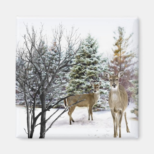 Winter Wonderland med Whitetail Hjort Fridge Magnet (Framsidan)