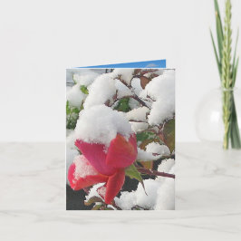 Winter Wonderland Note-kort Kort