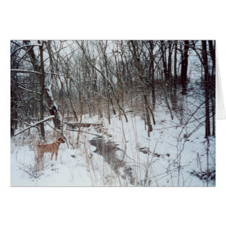 Winter Wonderland OBS Kort