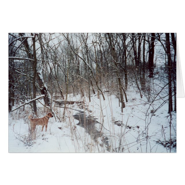 Winter Wonderland OBS Kort (Framsidan Horizontal)