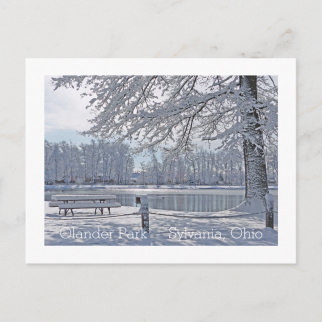 WINTER WONDERLAND/OLANDER PARK/SYLVANIA,OHIO POSTC VYKORT (Framsida)