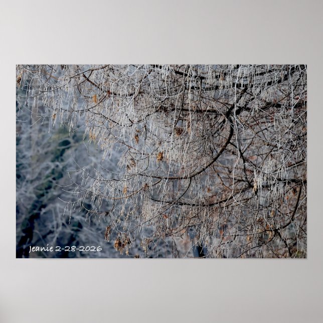 Winter wonderland poster (Framsidan)