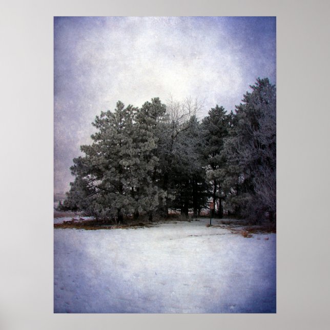 Winter Wonderland Poster (Framsidan)