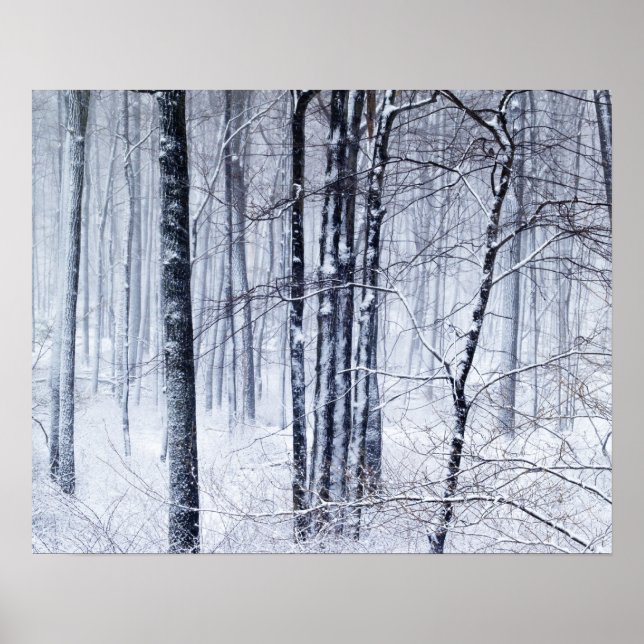 Winter Wonderland Poster (Framsidan)