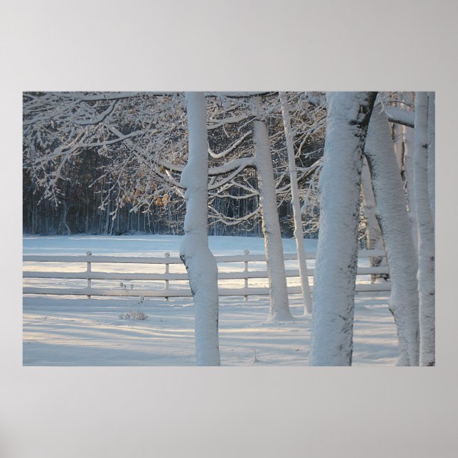 Winter Wonderland Poster (Framsidan)