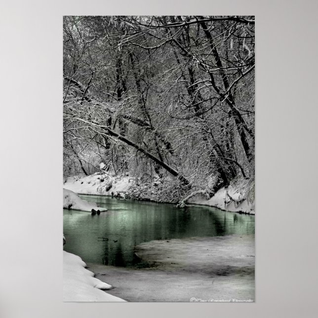Winter Wonderland Poster (Framsidan)